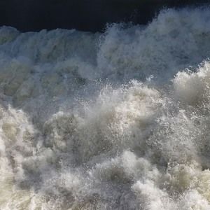 Meet your Posher, Devin